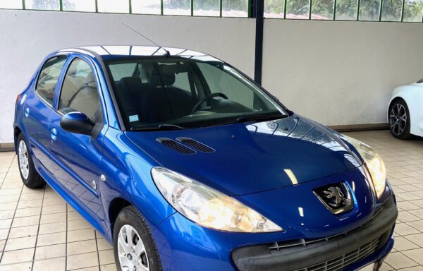 PEUGEOT 206 + 1.4 Hdi 70 Blue Lion Generation 5 portes